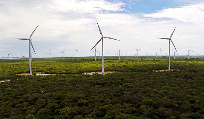Medio ambiente