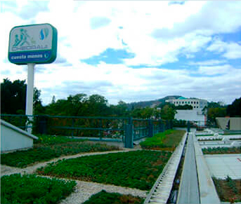 Medio ambiente