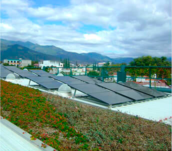 Medio ambiente